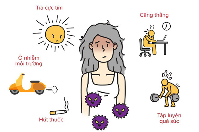 Càng về già, cơ thể càng kém linh hoạt do khả năng chống oxy hóa yếu dần