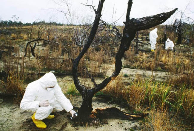 Thành phố Chernobyl, Ukraine: Là nơi xảy ra một trong những thảm họa hạt nhân tồi tệ nhất trong lịch sử, các khu dân cư bị bỏ hoang đều mang&nbsp;vẻ thê lương, ám ảnh.
