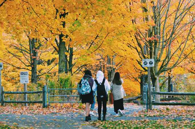 Mùa thu đã nhuộm vàng xứ sở lá phong - 1