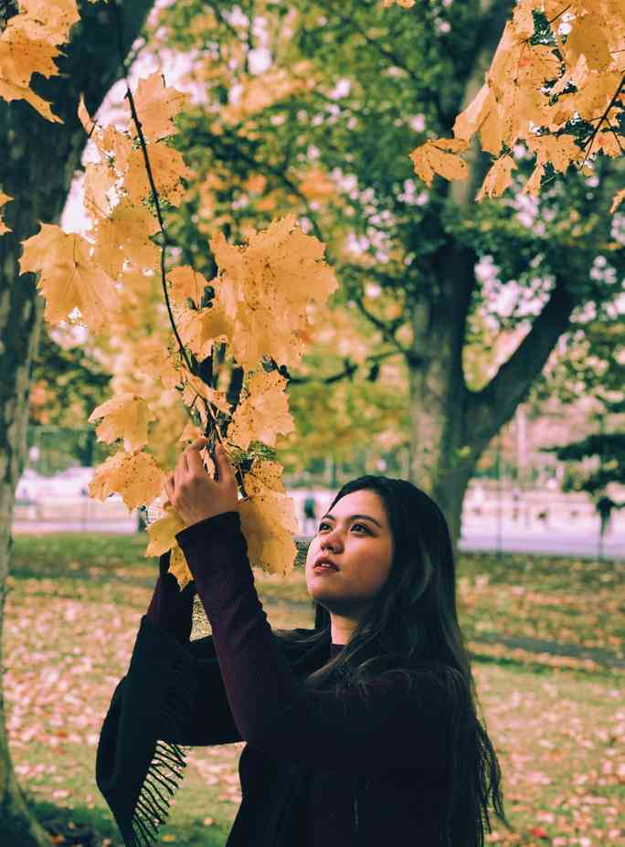 Mùa thu đã nhuộm vàng xứ sở lá phong - 2