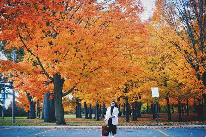 Mùa thu đã nhuộm vàng xứ sở lá phong - 5
