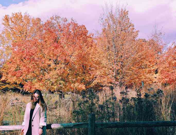 Mùa thu đã nhuộm vàng xứ sở lá phong - 10