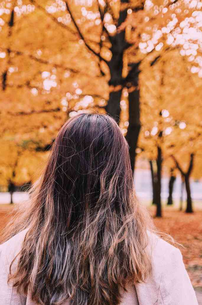 Mùa thu đã nhuộm vàng xứ sở lá phong - 13