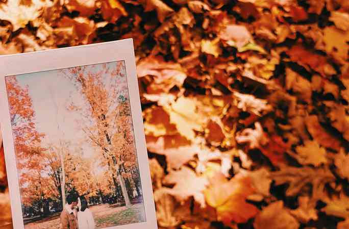 Mùa thu đã nhuộm vàng xứ sở lá phong - 11