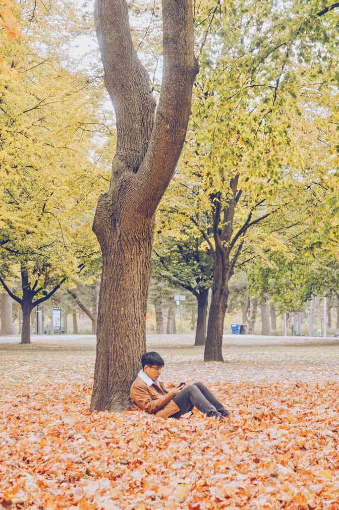 Mùa thu đã nhuộm vàng xứ sở lá phong - 12