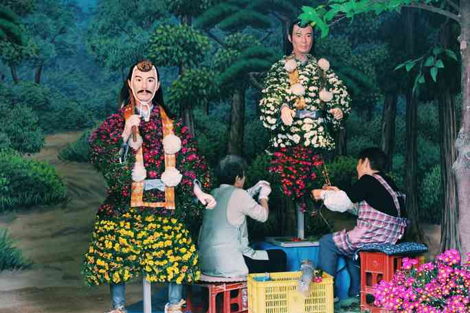 Rủ nhau ngắm hoa anh đào, nhiều người nhầm tưởng về quốc hoa Nhật Bản - 11