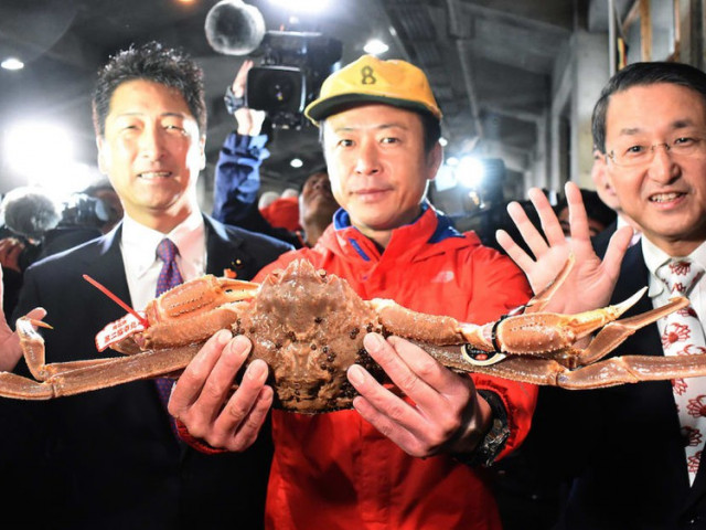 Thế giới - Choáng váng với con cua tuyết ‘5 sao’ giá hơn 1 tỉ đồng