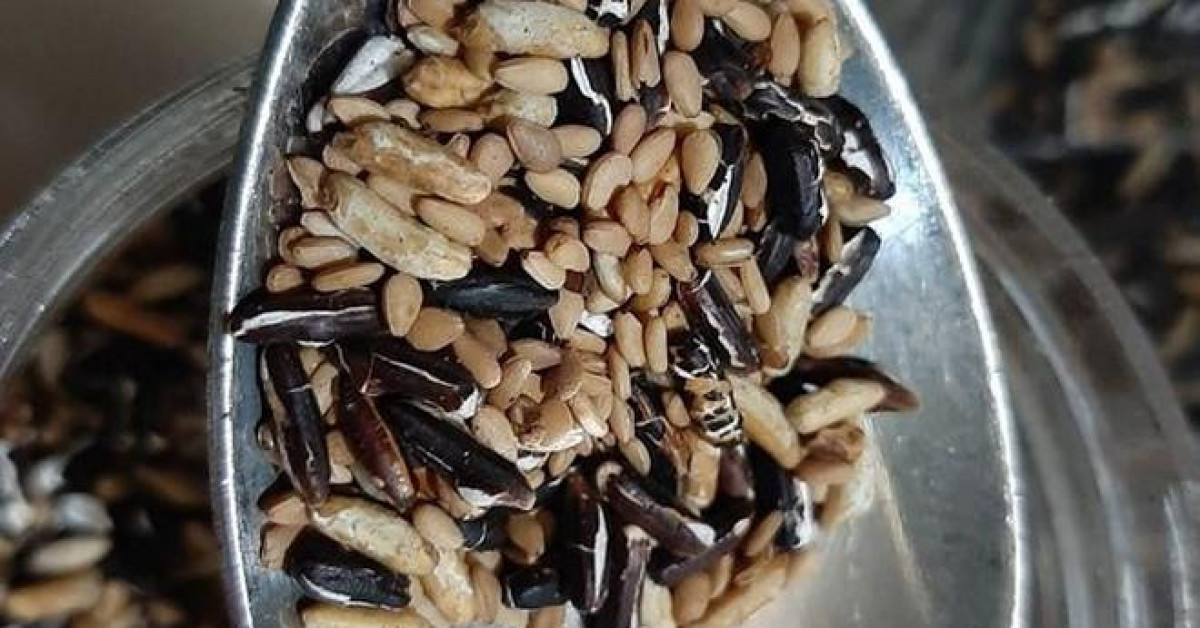 Ẩm thực - Gạo lứt là thần dược hay chỉ hơn gạo trắng ở bọt cám?