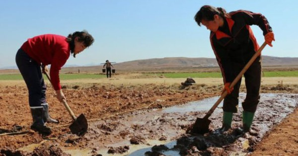 Thế giới - Triều Tiên gặp hoạ vô đơn chí