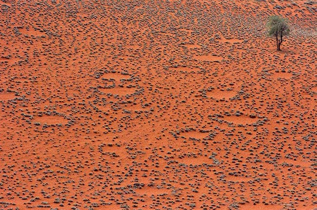 Vòng tròn cổ tích, Namibia: Là những mảng tròn, rải rác trên sa mạc Namibia. Đây cũng là một địa điểm mà các nhà khoa học chưa đưa ra được lời giải thích hợp lý nhất.