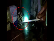 Phi thường - kỳ quặc - Video: Thức dậy giữa đêm bởi tiếng động lạ, tá hỏa phát hiện cá sấu mò vào nhà tắm
