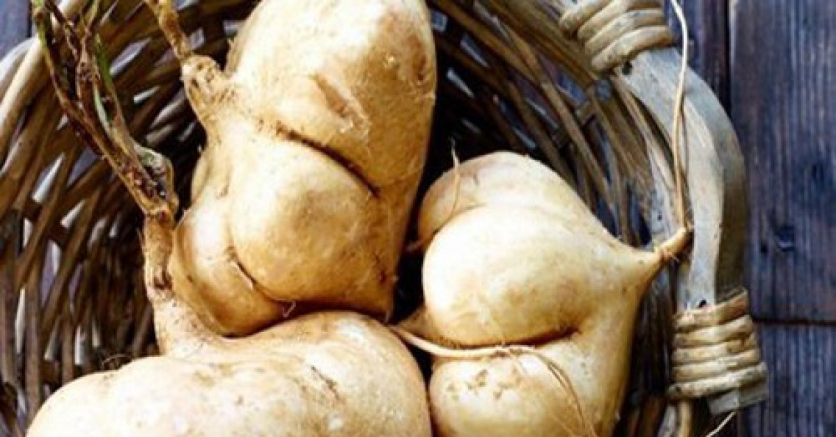 Ẩm thực - Củ đậu: Cực tốt và cực độc, biết mà tránh khi ăn kẻo rước họa vào thân