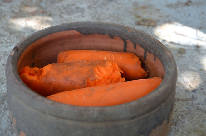 Thức ăn của chúng là rau củ, quả. Theo anh Giáp, hiện tại, anh là người đầu tiên đưa giống chuột túi này về Việt Nam và nuôi sinh sản thành công.