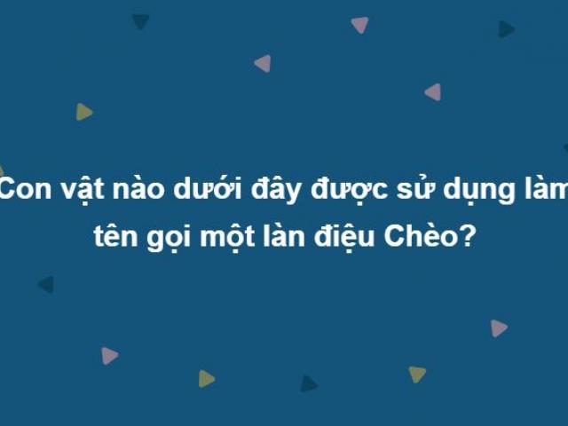 Trả lời đúng trọn bộ câu hỏi này chứng tỏ bạn không phải dạng vừa