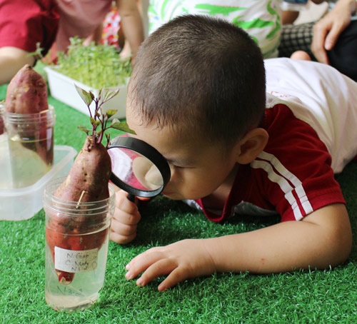 Những cách kích hoạt trí thông minh sớm ở trẻ - 3