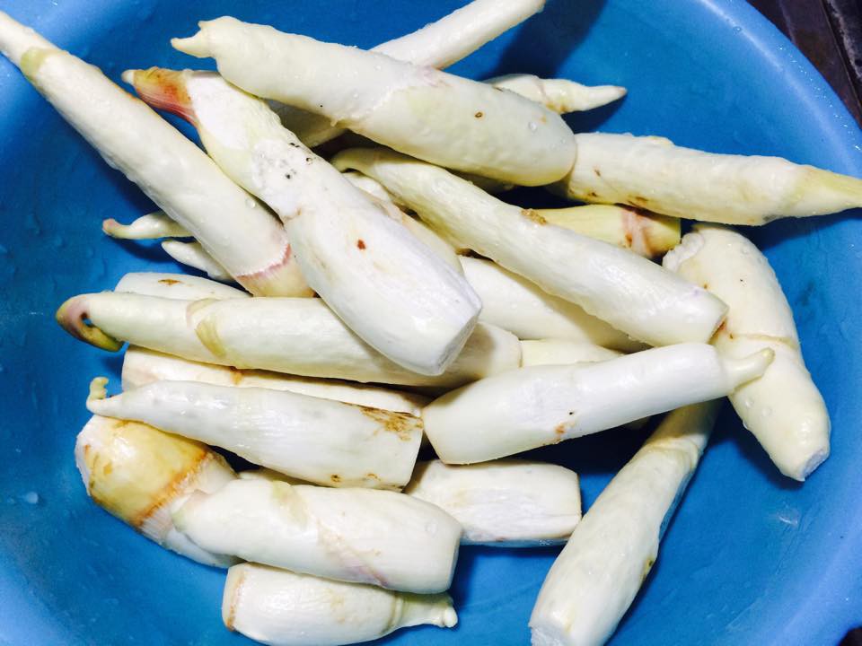 Củ Niễng - Những món ngon độc đáo chỉ có 1 lần trong năm - 2