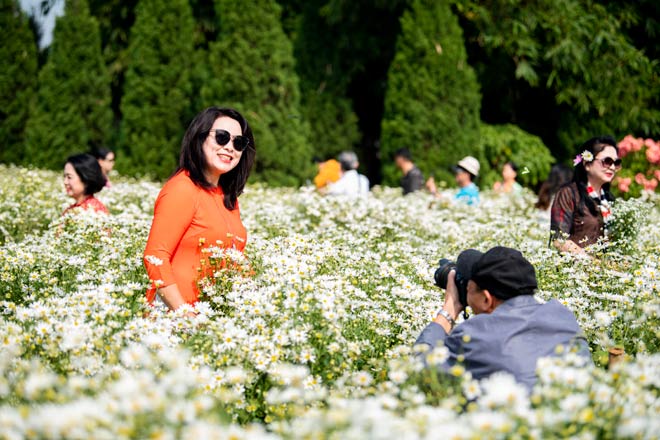 Cúc họa mi vào mùa, nhà vườn thu hàng chục triệu/ngày nhờ mốt “sống ảo” của chị em - 4