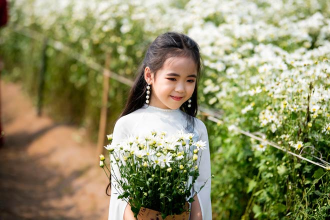 Khách tới chụp cúc hoa mi đa dạng từ người già đến trẻ nhỏ, các nhóm bạn trẻ hoặc các cặp đôi đang yêu nhau.