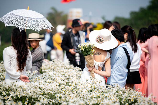 Cúc họa mi vào mùa, nhà vườn thu hàng chục triệu/ngày nhờ mốt “sống ảo” của chị em - 11