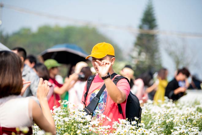 Ở khu vực bãi đá sông Hồng mới chỉ có vài luống hoa nhưng đã thu hút rất đông người đến chụp.