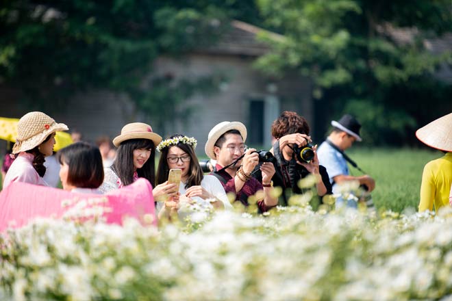 Cúc họa mi vào mùa, nhà vườn thu hàng chục triệu/ngày nhờ mốt “sống ảo” của chị em - 9