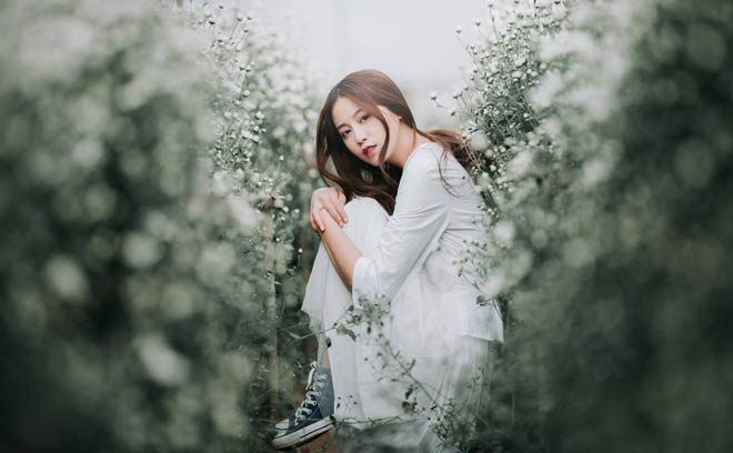 Cúc họa mi sớm nở chóng tàn, thường chỉ bung nở đẹp nhất trong 1 tháng (tháng 11). Nếu muốn lưu giữ lại bộ ảnh đẹp cùng loài hoa này, du khách nên tranh thủ đến vườn vào những ngày trong tuần để có không gian chụp hình thoải mái.