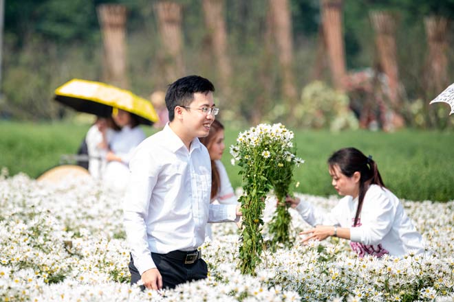 Ngoài thu tiền từ vé vào cửa (50.000 đồng/ người) nhiều chủ vườn còn kết hợp kinh doanh cúc họa mi với giá khoảng 70.000 đồng/ bó.