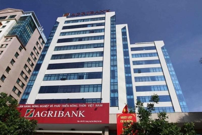 Agribank đã rao bán hàng trăm tài sản, có những tài sản "sale" tới 60% vẫn chưa tìm được người mua. Ảnh minh hoạ