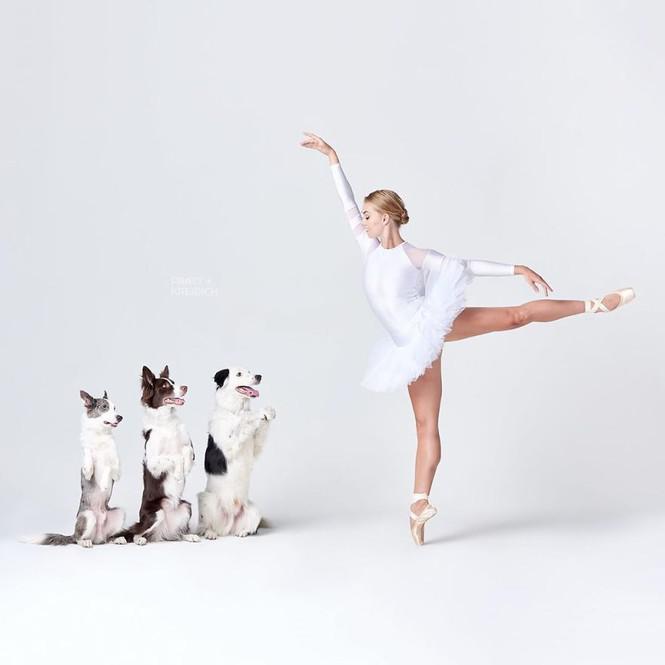 Dàn vũ công ba lê bay bổng tuyệt đẹp cùng những chú chó - 6