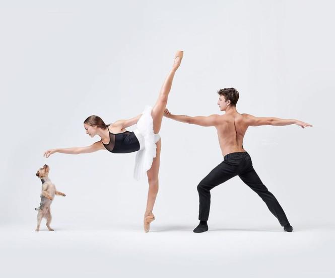 Dàn vũ công ba lê bay bổng tuyệt đẹp cùng những chú chó - 5