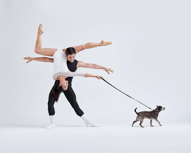 Dàn vũ công ba lê bay bổng tuyệt đẹp cùng những chú chó - 8