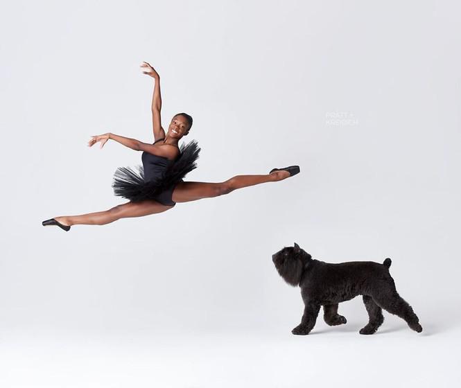 Dàn vũ công ba lê bay bổng tuyệt đẹp cùng những chú chó - 12