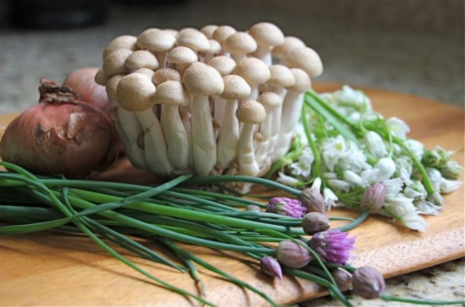 Thập đại đặc sản nấm đẹp như cổ tích lại ngon bổ quý nhất đất Việt - 8