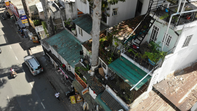 Nhiều người tỏ ra bức xúc khi cây xanh đường phố không còn của chung.