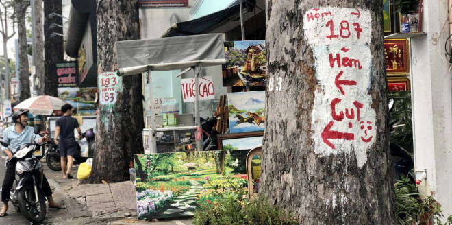 Một số cây bị sơn, vẽ lên thân. Hàng cây xanh và vỉa hè dành cho người đi bộ đã bị lấn chiếm