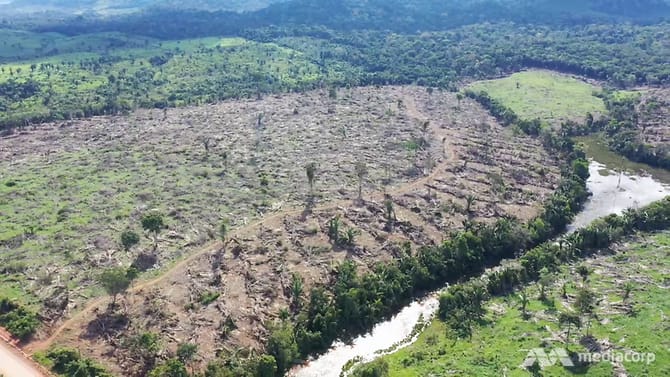 Rừng rậm Amazon bị tàn phá. Ảnh: CNA.