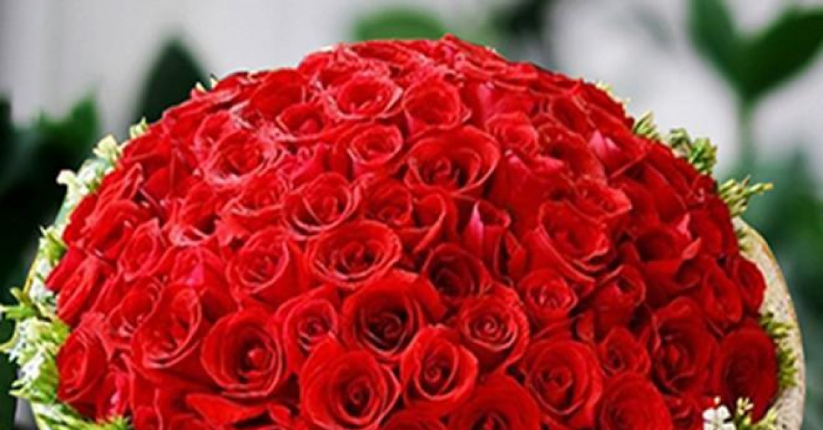 Giáo dục - du học - Những món quà tặng 20/11 ý nghĩa nhất dành cho thầy cô giáo