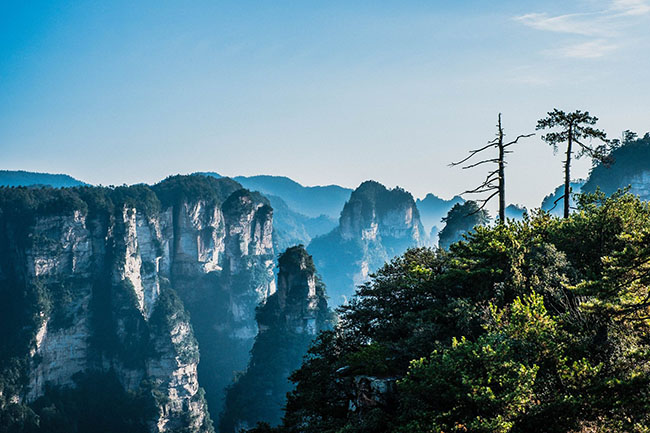 Một rừng ngọn núi lô nhô với khoảng 243 ngọn cao trên 1.000 m và 34 con suối dài trên 2.000 m.