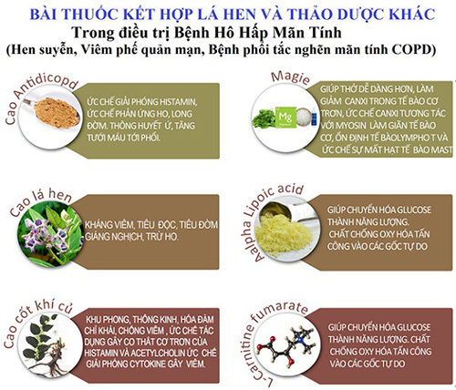 Thoát 10 năm ám ảnh đờm, ho, khó thở dai dẳng ngờ dùng 1 đợt lá lạ này - 4
