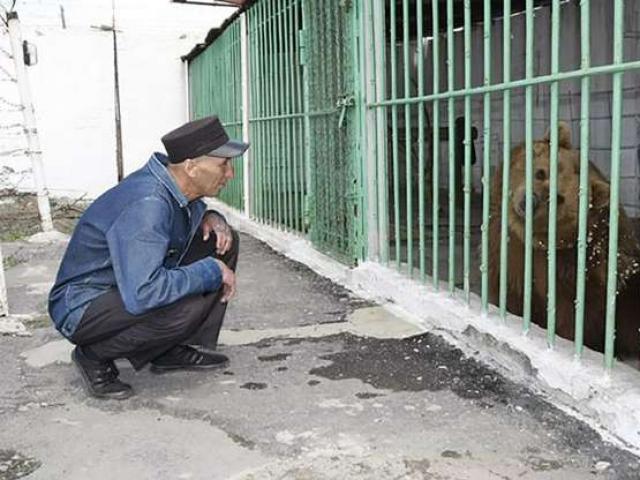 Phi thường - kỳ quặc - Cô gấu duy nhất thế giới ngồi tù chung với con người được trả tự do sau 15 năm