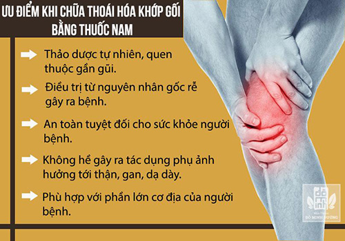 Thoái hóa khớp gối là gì? Triệu chứng, cách chữa hiệu quả để không còn đau nhức - 3