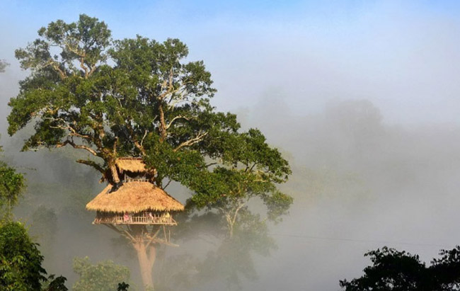 Khu bảo tồn thiên nhiên Bokeo, Lào: Nằm ở tỉnh Bokeo của Lào, khu bảo tồn thiên nhiên này được xây dựng để bảo vệ loài vượn má đen. Đến đây du khách sẽ được ngắm vẻ đẹp của khu rừng và trải nghiệm với thác nước Gibbon hoặc trekking dọc theo sông Nam Nga.