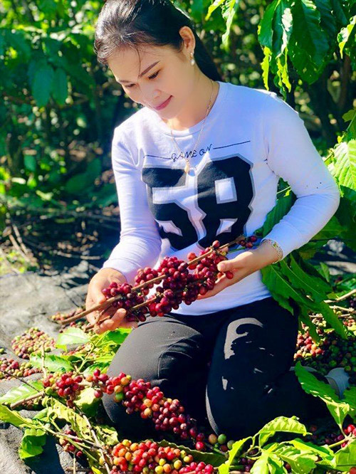 Thương hiệu cà phê Quỳnh Anh - 20 năm dành hết tâm huyết cho hạt cà phê - 2