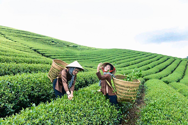 Thương hiệu cà phê Quỳnh Anh - 20 năm dành hết tâm huyết cho hạt cà phê - 5