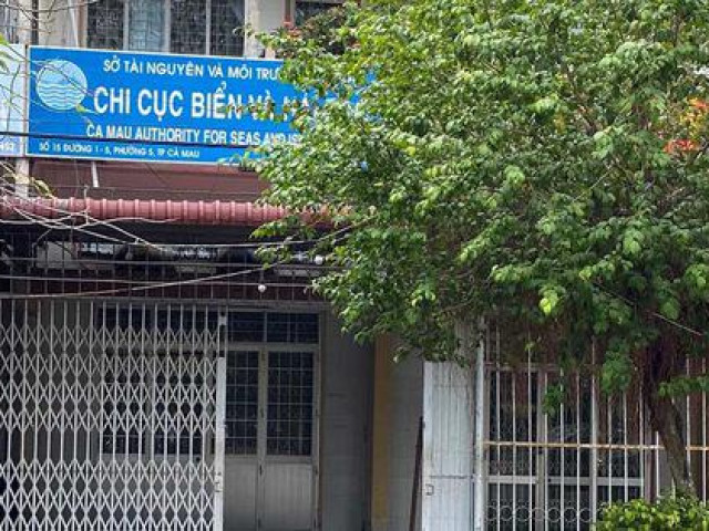 Tin tức trong ngày - Vận động nữ phó phòng ở Cà Mau du học nước ngoài trở về nước