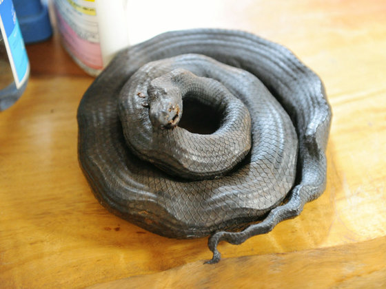 Nhắm mắt liều mình ăn thử đặc sản rắn độc ở Okinawa - 12