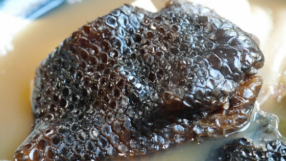 Nếu là lần đầu tiên ăn rắn, có thể nhiều người sẽ không dám ăn thử.