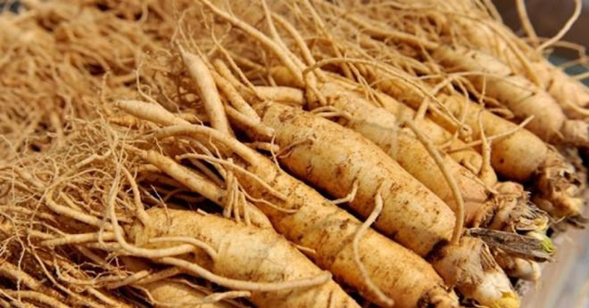 Sức khỏe đời sống - Chuyên gia đông y cảnh báo về thần dược nhân sâm: Ai được dùng, ai không