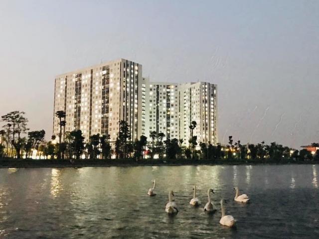 Tin tức trong ngày - Chậm làm sổ hồng cho cư dân, chủ đầu tư có thể bị phạt tới 1 tỉ đồng