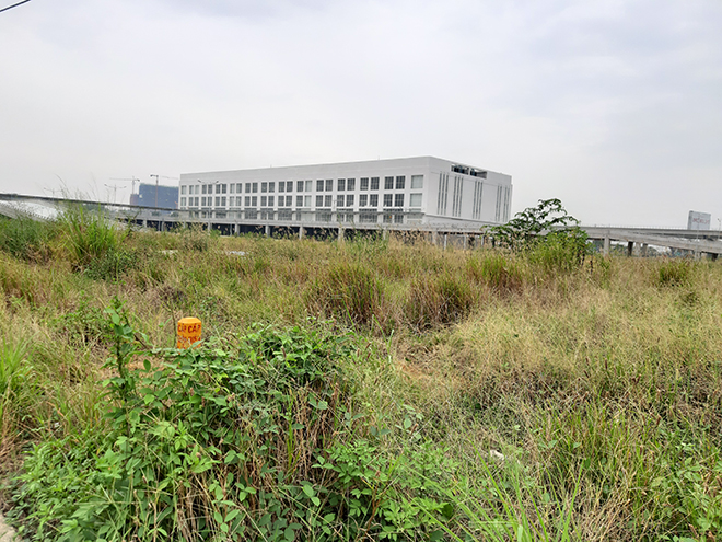 Nhìn từ xa, nhiều người dân lầm tưởng là bến xe được xây dựng hàng trăm tỷ đồng đang bị bỏ hoang. “Nếu không có chữ bến xe Miền Đông mới gắn ở phía trước thì tôi nghĩ nơi đây đang bị bỏ hoang vì cỏ dại mọc khắp nơi. Không biết đến khi nào bến xe này mới đi vào hoạt động. Hy vọng Tết Nguyên đán năm nay, người dân sẽ được sử dụng các tiện ích ở bến xe này”, anh Nguyễn Nhất Nguyên (ngụ quận 9) chia sẻ.